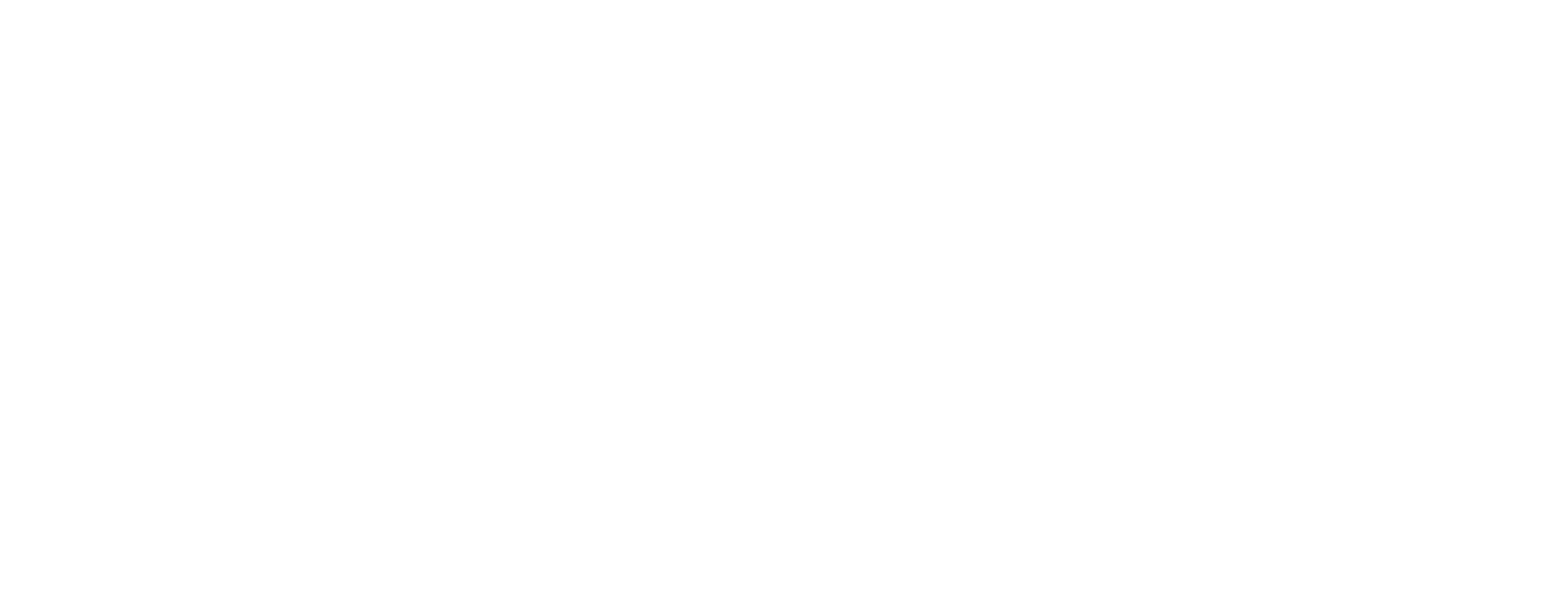 ACI LOGO TAG-HORIZ white