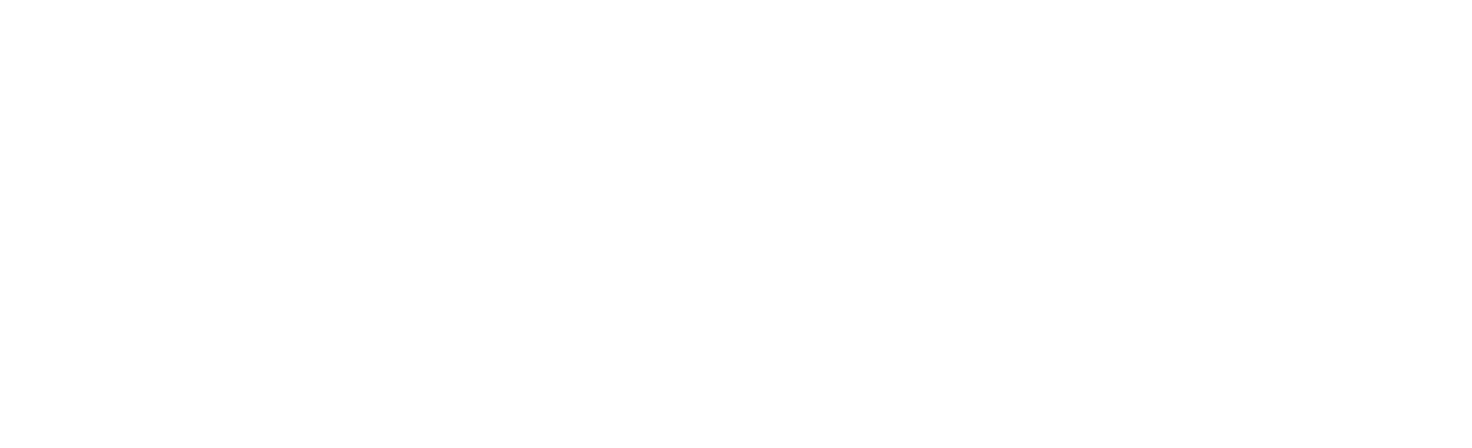 Branch_Logo_white