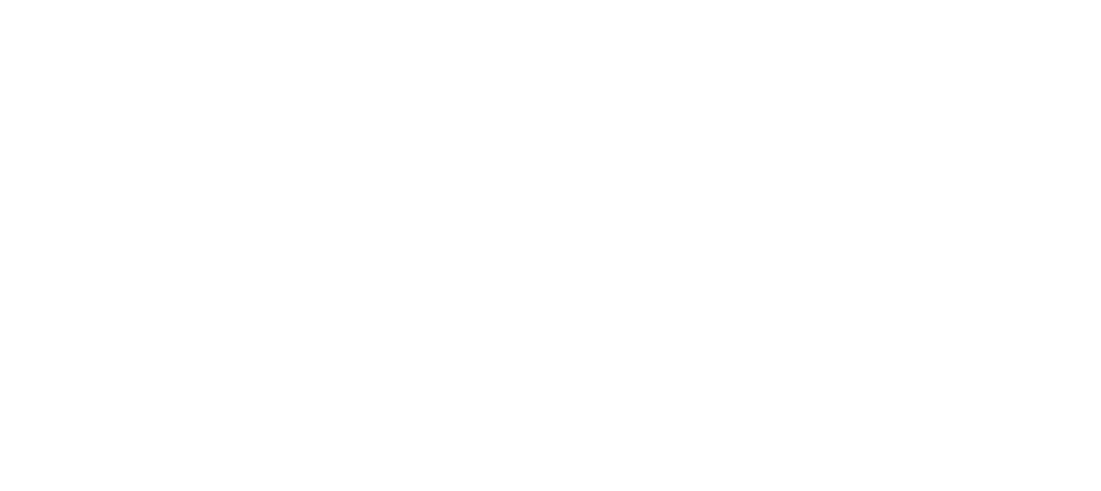 Logo_Primary_White (2)